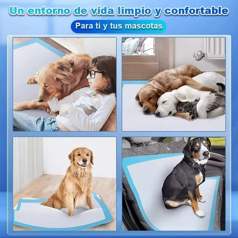 🐾Sabanillas Absorbentes para Mascotas 45x60cm – Pack x100 Unidades | 5 Capas | Desechables